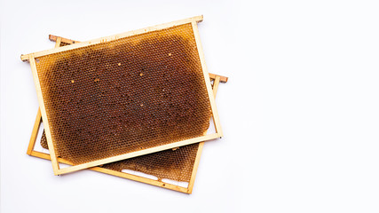 Organic honeycombs. Empty frame with a beehive isolated on a white table background. Flat top view.