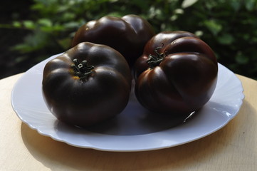 Black tomato in the garden