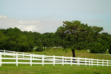white fence and green field