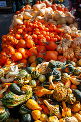 A variety of squash at street vendor food stand