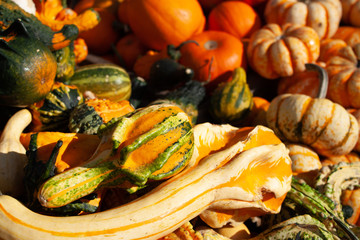A variety of squash at street vendor food stand