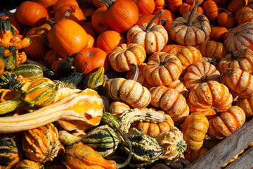 A variety of squash at street vendor food stand