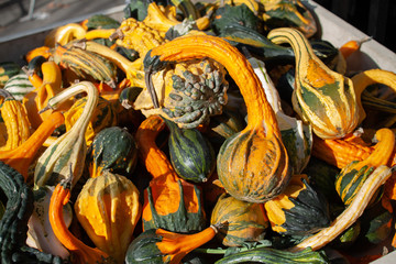 A variety of squash at street vendor food stand
