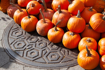 pumpkin pile up at market during harvest season