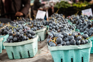 blueberries in a bucket at open market