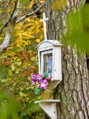 window with flowers
