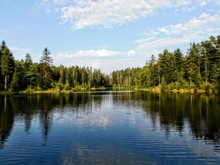 lake in the forest