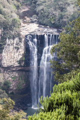 waterfall in the forest