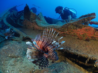 scuba divers exploring shipwreck scenery underwater ship wreck deep blue water ocean scenery of metal underwater and fish around