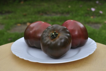 Black tomato in the garden