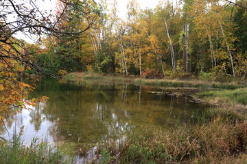カナダのトロント近郊のモノクリフス州立公園　Mono Cliffs Provincial...