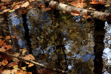 カナダのトロント近郊のモノクリフス州立公園　Mono Cliffs Provincial...