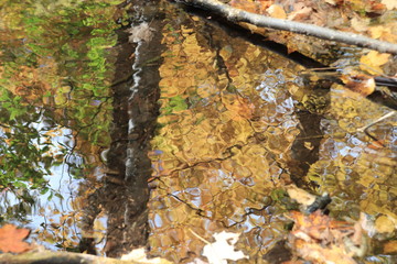 カナダのトロント近郊のモノクリフス州立公園　Mono Cliffs Provincial Parkの秋、紅葉