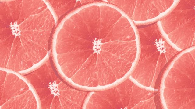 Bright colourful background of rotating red orange fruit grapefruit slices. Motion design.