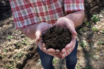Man holding dirt in his hands in a garden, victory garden concept