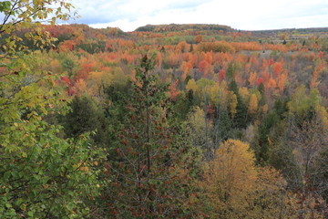 カナダのトロント近郊のモノクリフス州立公園　Mono Cliffs Provincial Parkの秋、紅葉