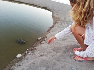 woman next to the lake looking turtles