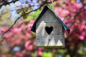 Birdhouse with heart shaped opening  hanging in an apple tree in spring