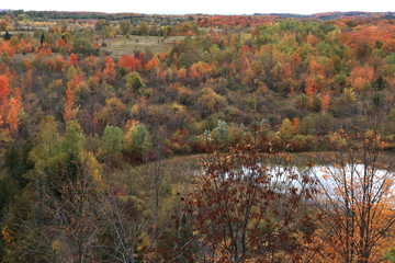 カナダのトロント近郊のモノクリフス州立公園　Mono Cliffs Provincial Parkの秋、紅葉