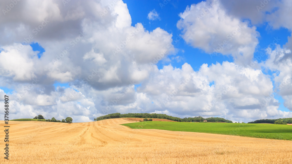 Wall mural summer rural landscape, banner - view of agricultural fields under sky with clouds, in the historica