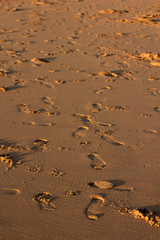 Footsteps in the sand, with some dog footprints, at sunset, at Guincho Beach, in Cascais, near Lisbon, Portugal