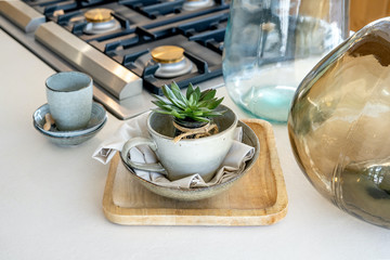 Decorative aloe cactus in a cup on a fine kitchen table next to a gas stove. Decorative glass vases. High quality photo