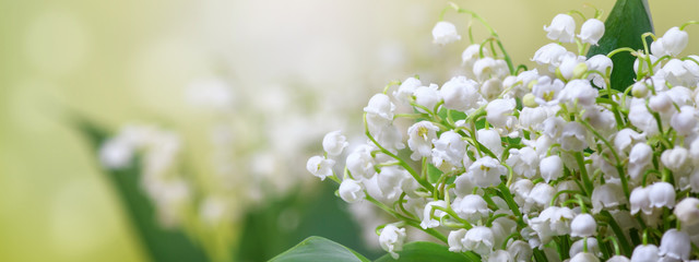 Lily of the valley (Convallaria majalis), blooming spring flowers, closeup with space for text © rustamank