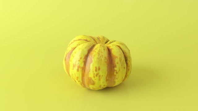Realistic 3D yellow pumpkin rotating on yellow background. Abstract render of vegetable. Food animation.