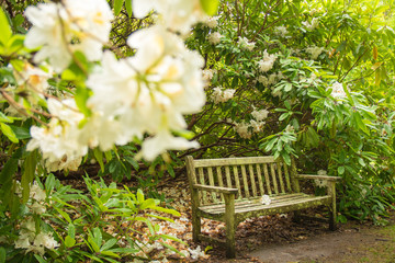 Garden bench tucked away hiding retreat for thinking romantic