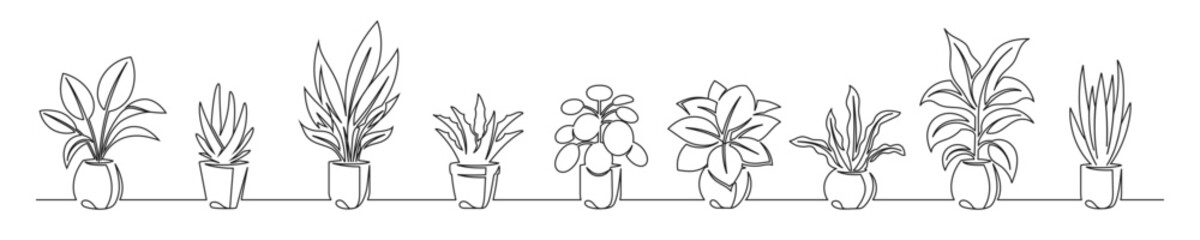 Set of continuous line drawing of a flowers in a pots