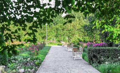 Walkway with white benches in a blooming summer garden.