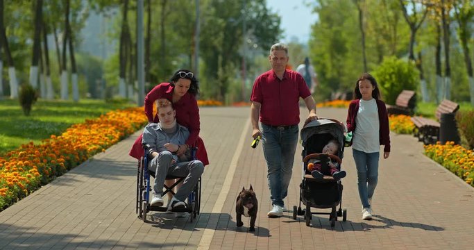 Disabled guy is being taken in a wheelchair, a family walk. Large family walks with children in the park. Tolerant attitude in society. 4k, 10bit, ProRes
