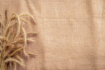 Grain field. Whole, barley, harvest wheat sprouts. Wheat grain ear or rye spike plant on linen...