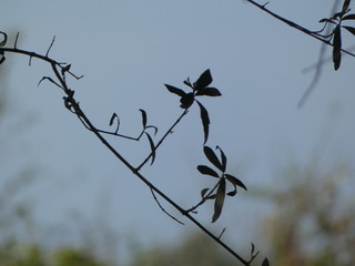 alone