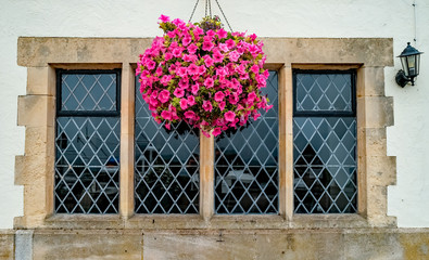 Fototapeta na wymiar Hanging basket of pink flowers hanging down over an ornate window