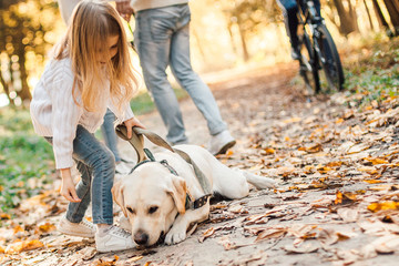 Little beautiful girl with dog labrador outside her parents.