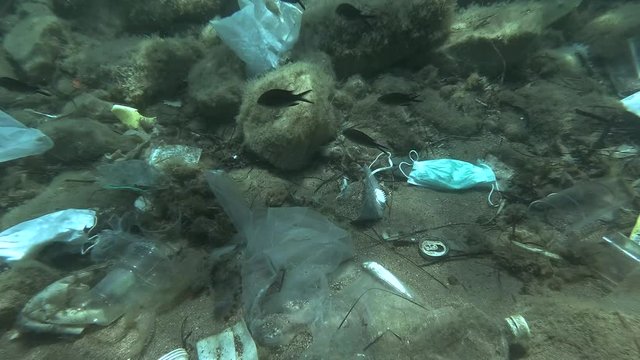 Dead Greater weever fish (Trachinus draco) hitting trapped in plastic bag lies inside plastic bag on the seabed among the medical face mask, plastic and other garbage. Plastic pollution of Ocean.  
