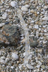 stones in water