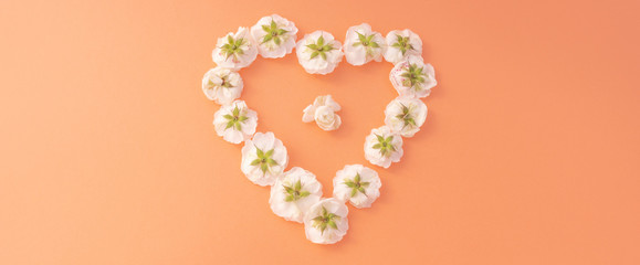 Flowers composition. heart frame made of white small rose on pink background. Mother's day, Valentine's day, birthday, spring, summer concept. Flat lay, top view