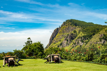 Sri lanka rolling green hills mountains and countryside. cafe resturant breakfast haven