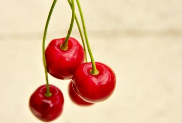 
Cherry harvest in June