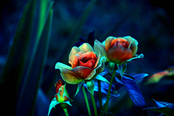 Dark futuristic (unreal) flower