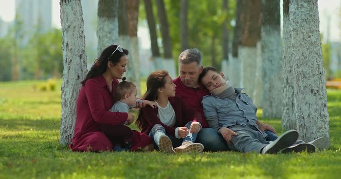 Disabled child with a family sits on the grass, a walk in the park. Large family communicates in nature. 4k, 10bit, ProRes