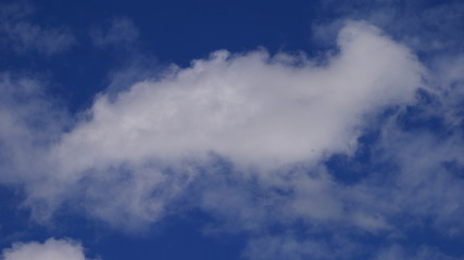 Wolke