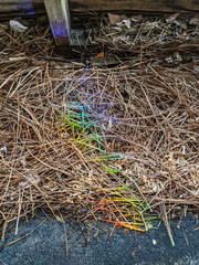 Spectrum In The Straw