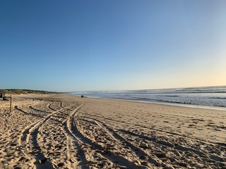 Beautiful landscape with sand and dunes vegetation in Fonte da Telha, Portugal