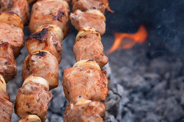 Tasty, juicy, delicious grilled skewers are fried on the grill. pieces of meat are fried on coals. horizontal close-up photo of delicious food