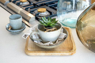 Decorative aloe cactus in a cup on a fine kitchen table next to a gas stove. Decorative glass vases. High quality photo
