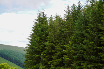 Ireland Nature, Sea and Landscape