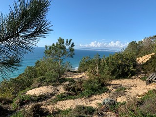 Beautiful landscape with green pine tree, turquoise blue water ocean, sand and green dunes vegetation under a beautiful blue sky in Fonte da Telha, Costa da Caparica, Portugal
